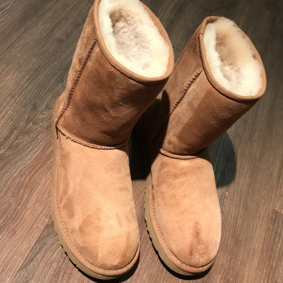 UGG Shoes - Classic ugg in chestnut